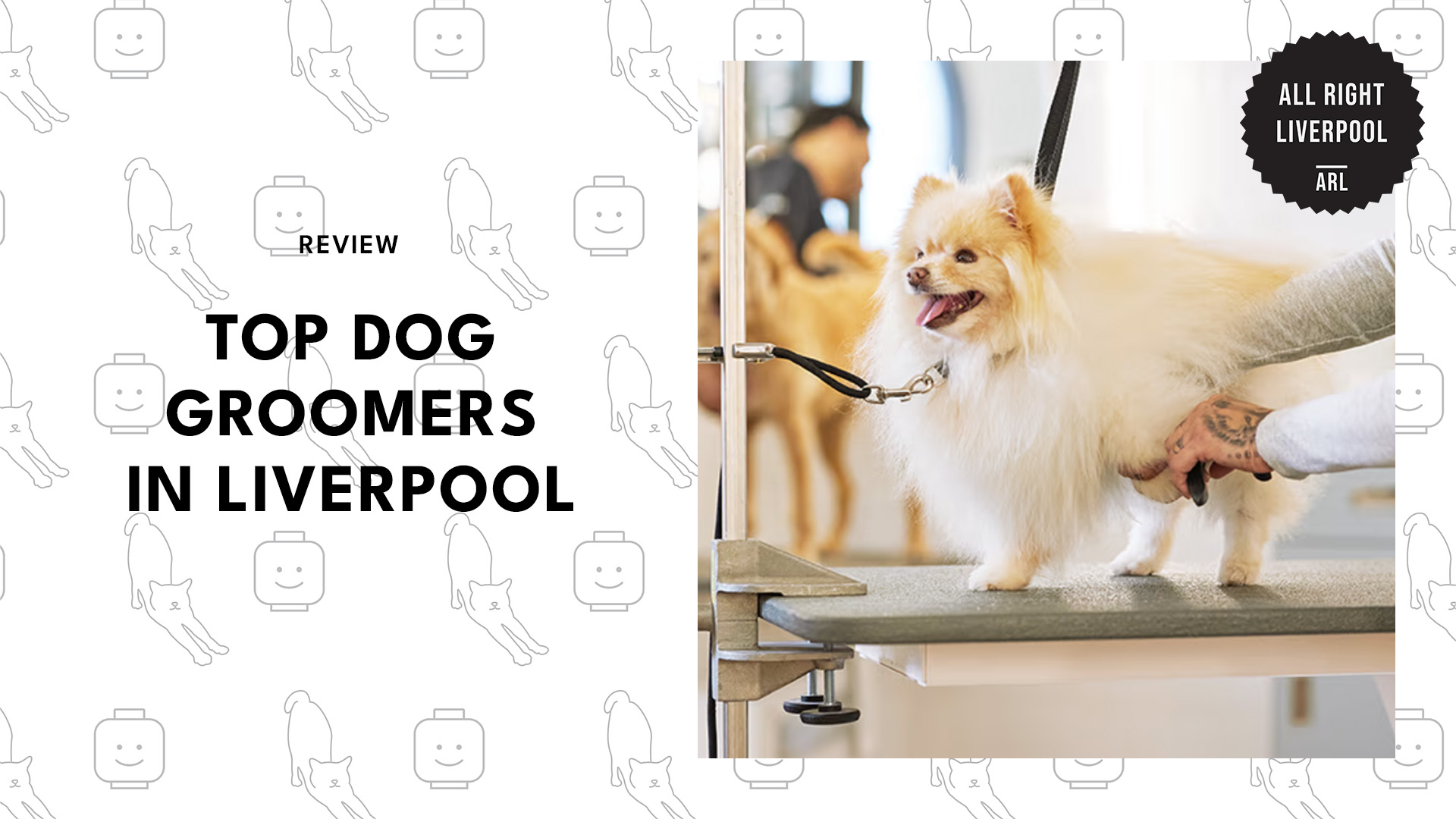 top-dog-groomers-liverpool