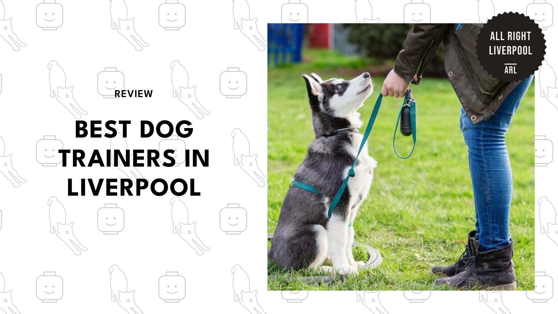 best-dog-trainers-liverpool