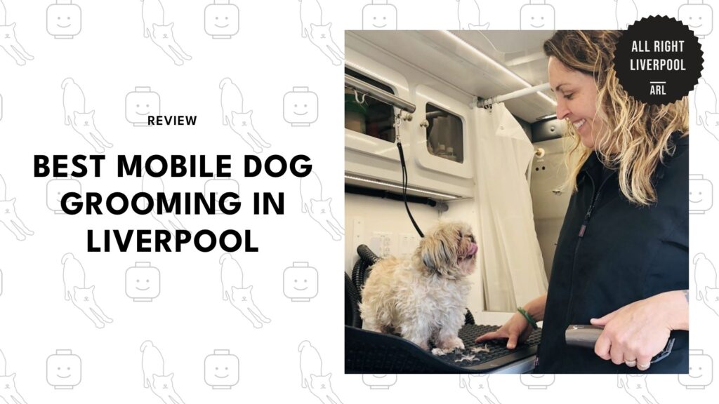 Top 5 Mobile Dog Groomers In Liverpool Making Tails Wag preview