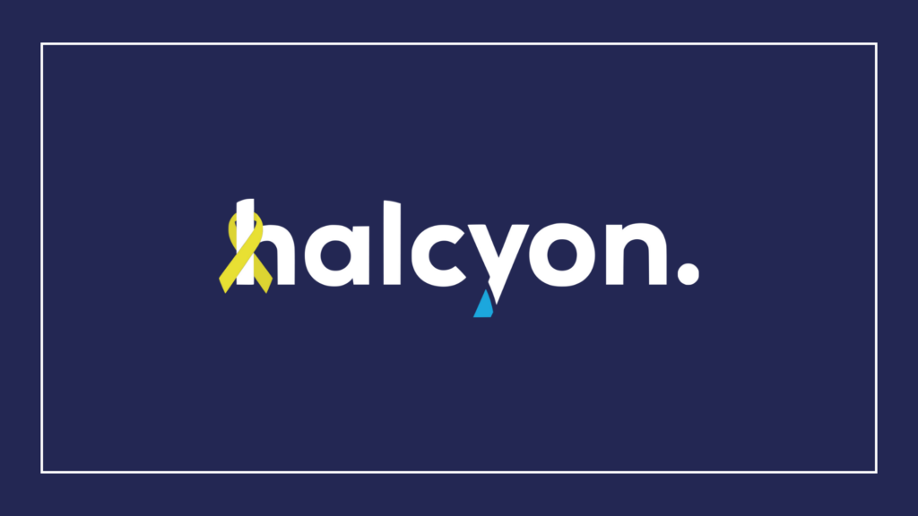 halcyon-it