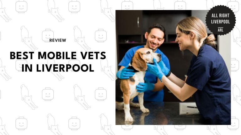 5 Liverpool mobile vets that save you from vet day chaos [2026]