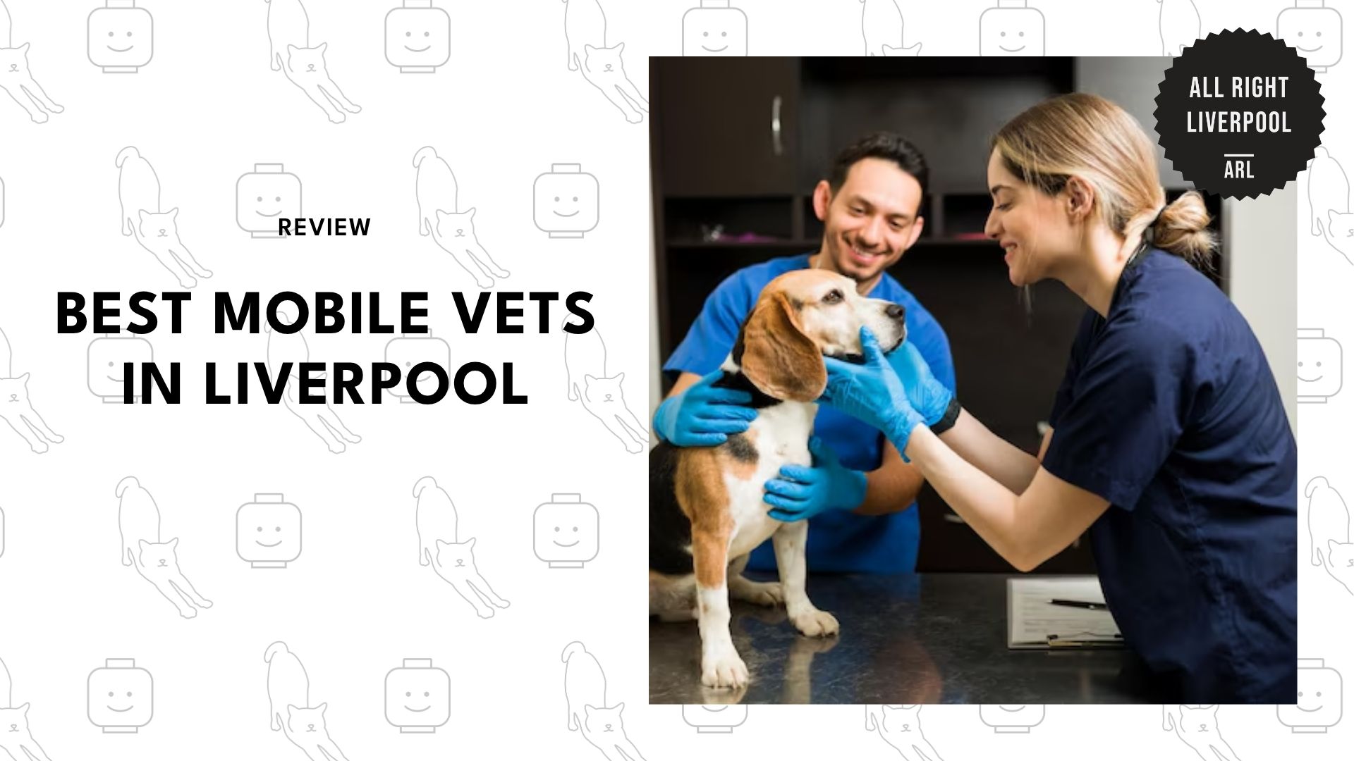best-mobile-vets-liverpool-banner