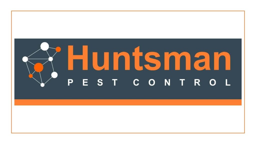 huntsman-pest-control