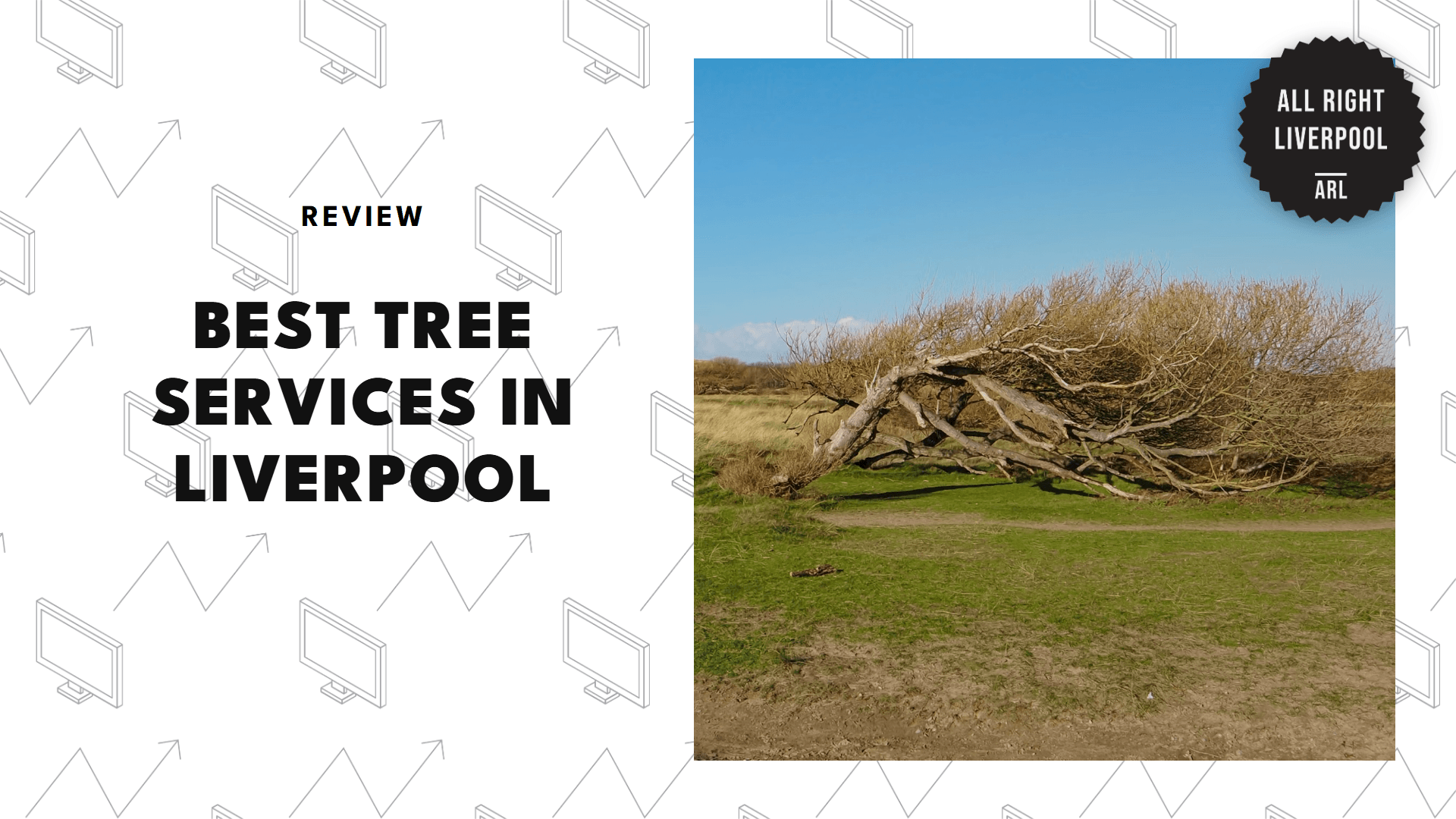 tree-services-in-liverpool