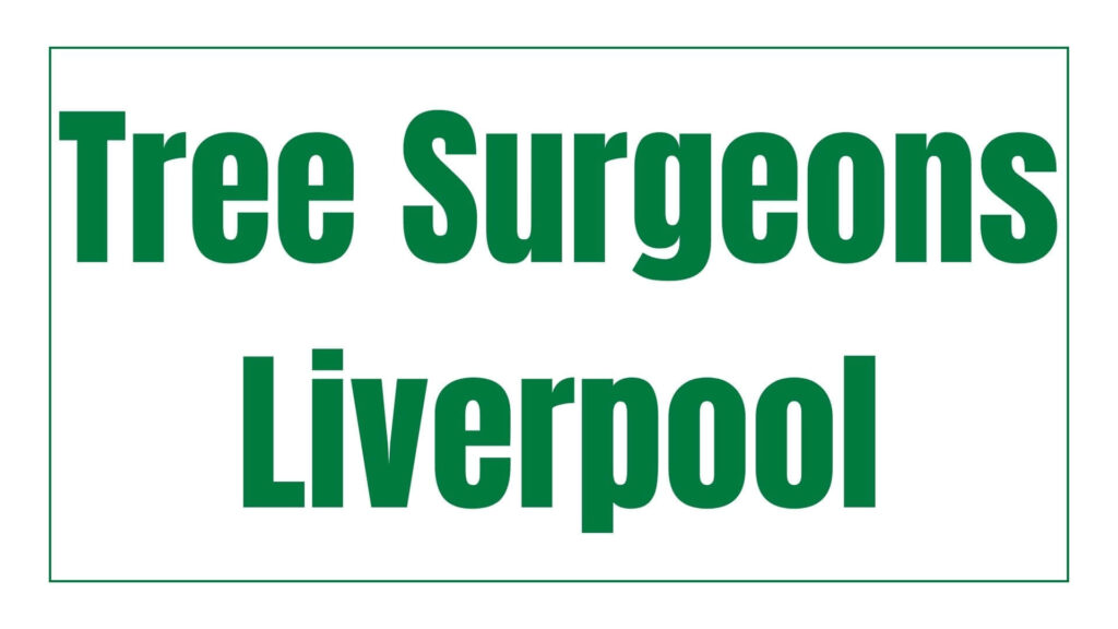 tree-surgeons-liverpool